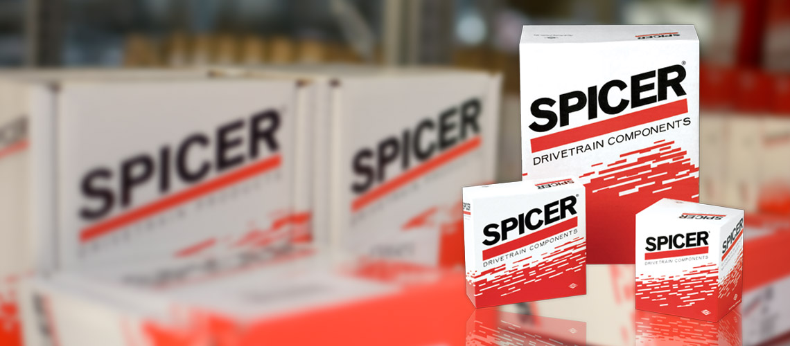 Professional service of dana spicer